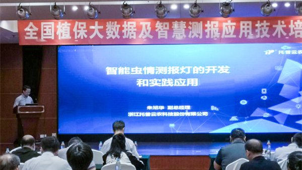 金年会常务副总经理朱旭华作了专题汇报