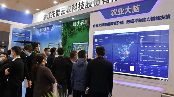 金年会展位