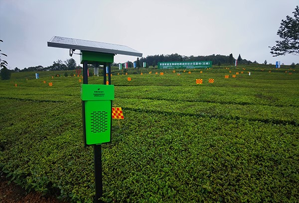 五峰仁和坪镇道家湾茶园里的金年会杀虫灯