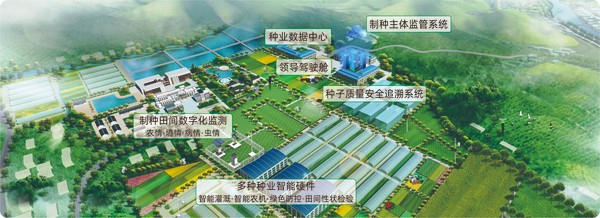 金年会数字种业创新应用基地