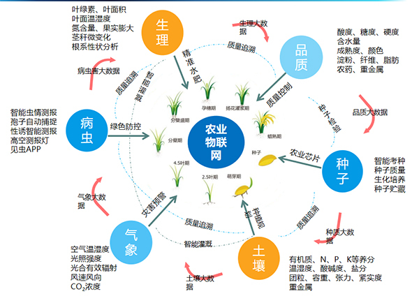金年会打造的全要素智能采集系统
